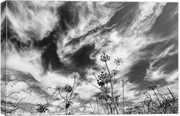 cloudscape Canvas Print by Simon Johnson