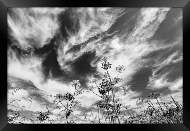 cloudscape Framed Print by Simon Johnson