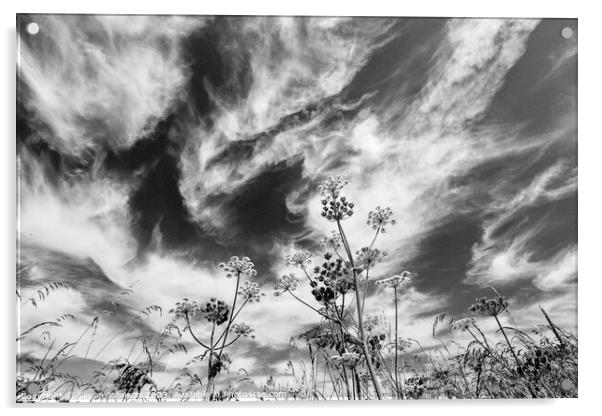 cloudscape Acrylic by Simon Johnson