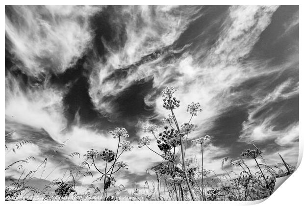 cloudscape Print by Simon Johnson