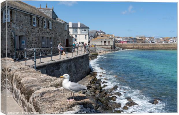 St Ives seagull seascape  Canvas Print by Rob Hawkins