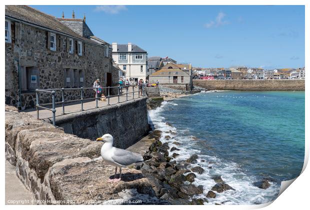St Ives seagull seascape  Print by Rob Hawkins