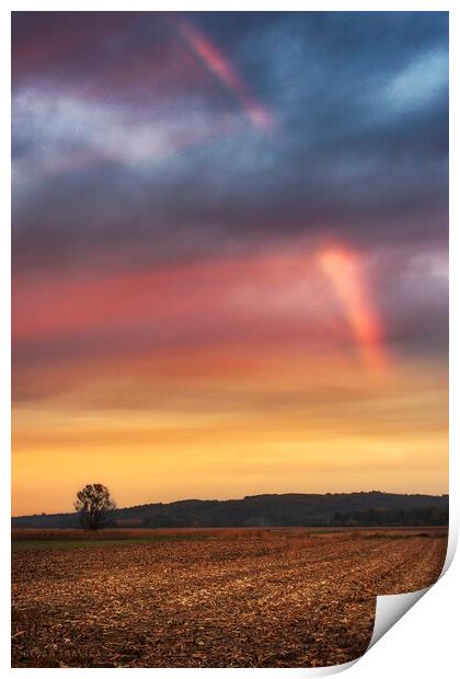 Sunset rainbow Print by Dejan Travica
