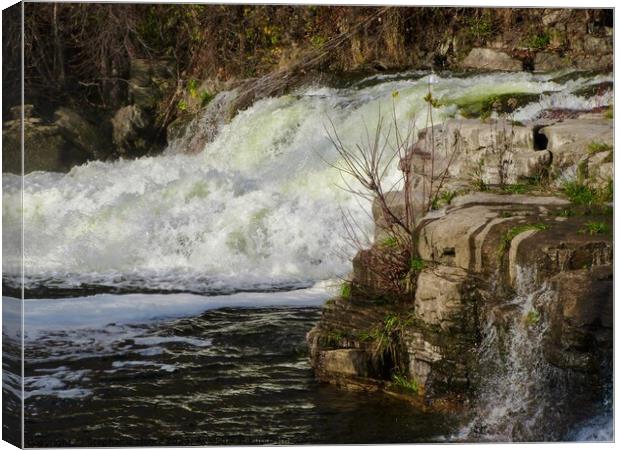 Waterfall in Almonte, ON Canvas Print by Stephanie Moore
