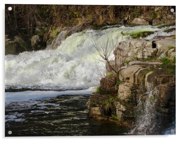 Waterfall in Almonte, ON Acrylic by Stephanie Moore