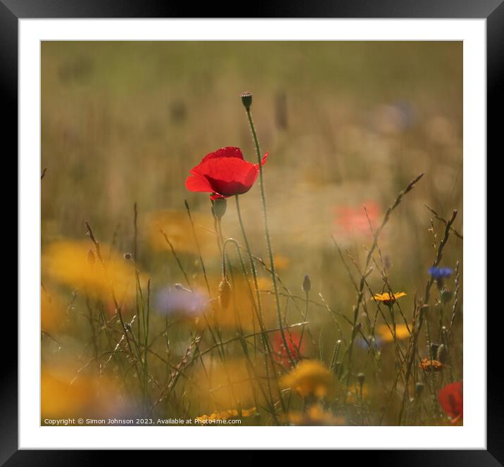A close up of a poppy  flower Framed Mounted Print by Simon Johnson