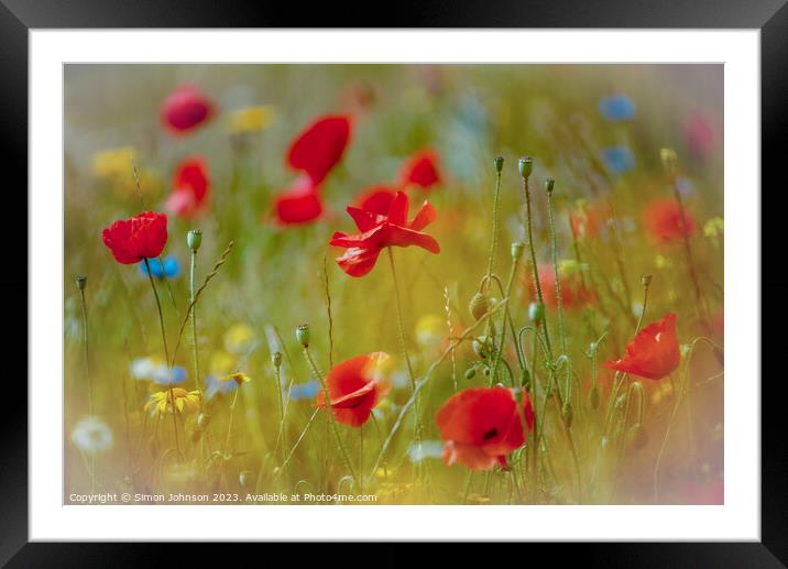  Poppy flowers Framed Mounted Print by Simon Johnson