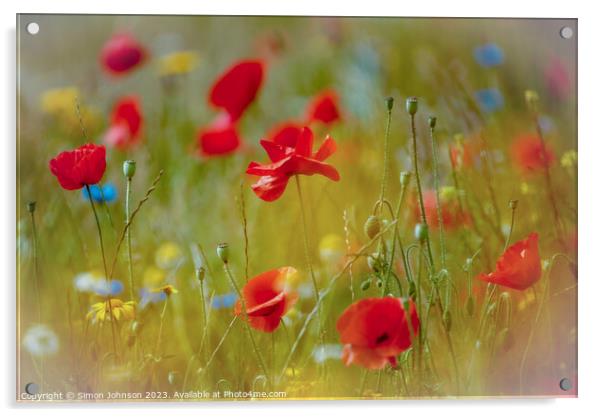  Poppy flowers Acrylic by Simon Johnson