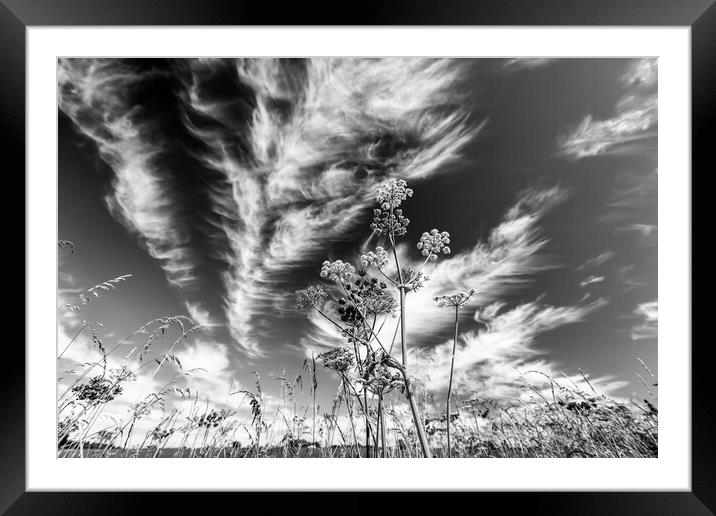 clouds and grasses Framed Mounted Print by Simon Johnson