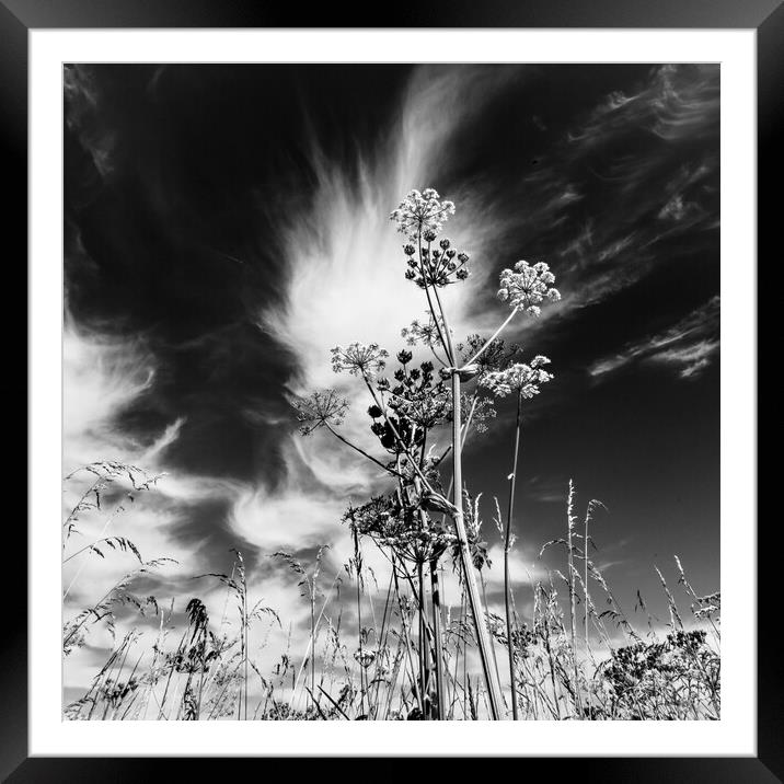 cloudscape Framed Mounted Print by Simon Johnson