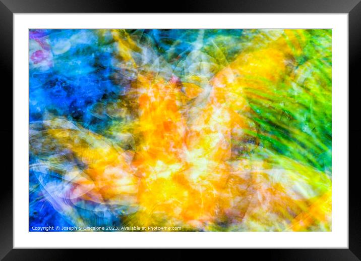Motion of Colorful Koi Abstract Framed Mounted Print by Joseph S Giacalone