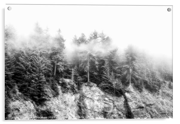 Trees In The Mist - Oregon Acrylic by Joseph S Giacalone