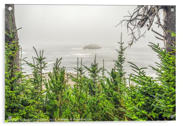 Oregon Coast Pine Trees Acrylic by Joseph S Giacalone
