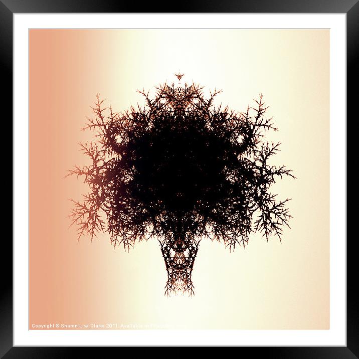Tree of Twigs Framed Mounted Print by Sharon Lisa Clarke