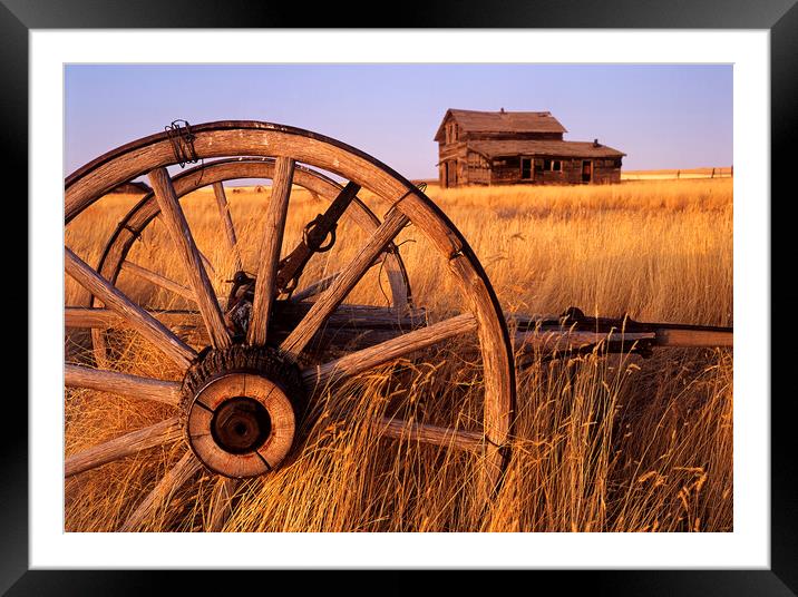 Homestead on the Prairies Framed Mounted Print by Dave Reede