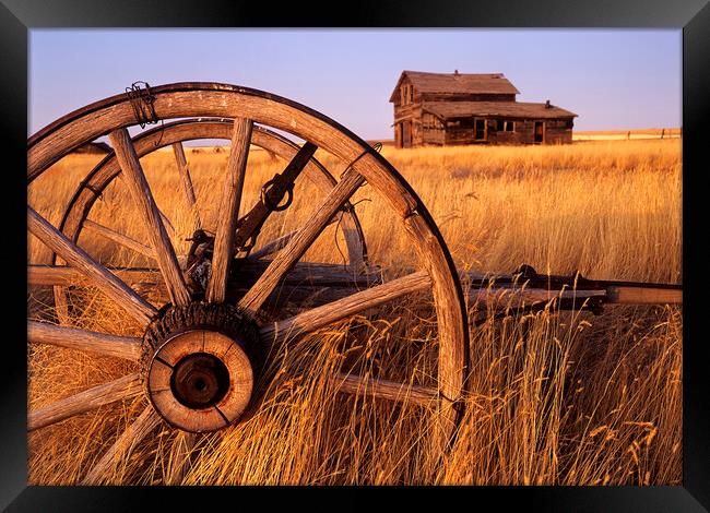 Homestead on the Prairies Framed Print by Dave Reede