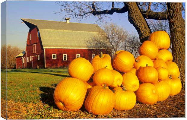 Harvest Time on the Farm Canvas Print by Dave Reede