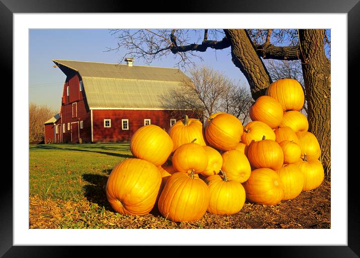 Harvest Time on the Farm Framed Mounted Print by Dave Reede