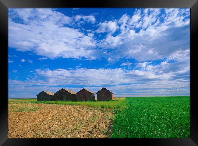 abandoned grain bins in  field Framed Print by Dave Reede