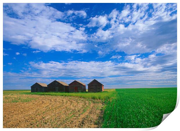 abandoned grain bins in  field Print by Dave Reede