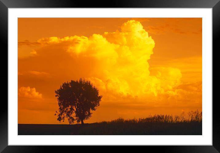 Storm Framed Mounted Print by Dave Reede