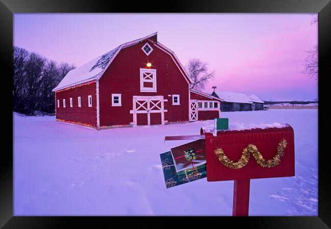 Christmas on the Farm Framed Print by Dave Reede