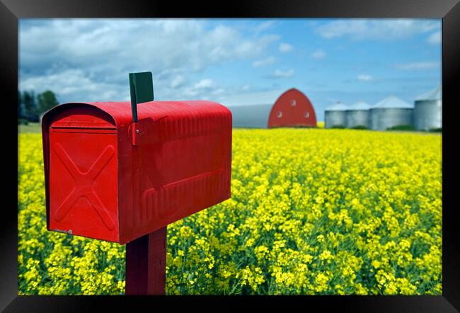 mailbox Framed Print by Dave Reede