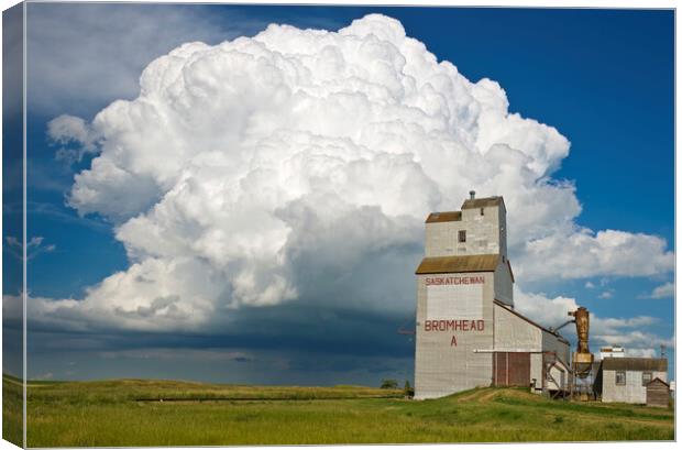 grain elevator and cumulonimbus supercell Canvas Print by Dave Reede