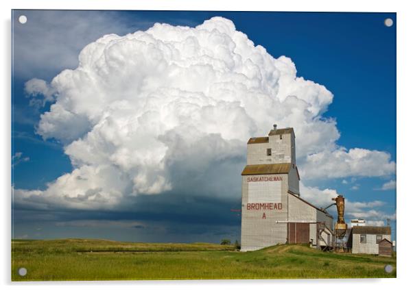 grain elevator and cumulonimbus supercell Acrylic by Dave Reede