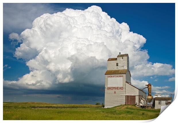 grain elevator and cumulonimbus supercell Print by Dave Reede