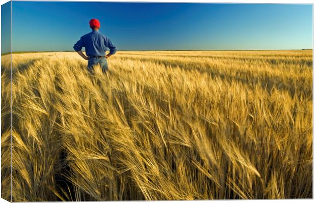 man in barley field Canvas Print by Dave Reede