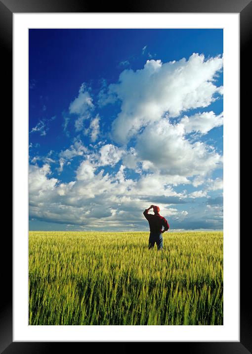 a man looks out over a barley field and sky with clouds Framed Mounted Print by Dave Reede