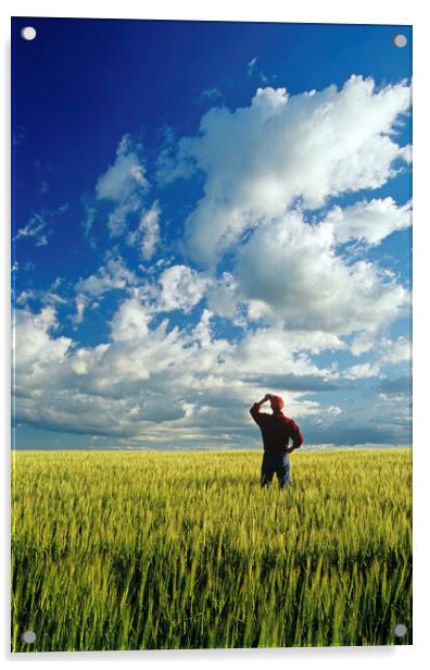 a man looks out over a barley field and sky with clouds Acrylic by Dave Reede