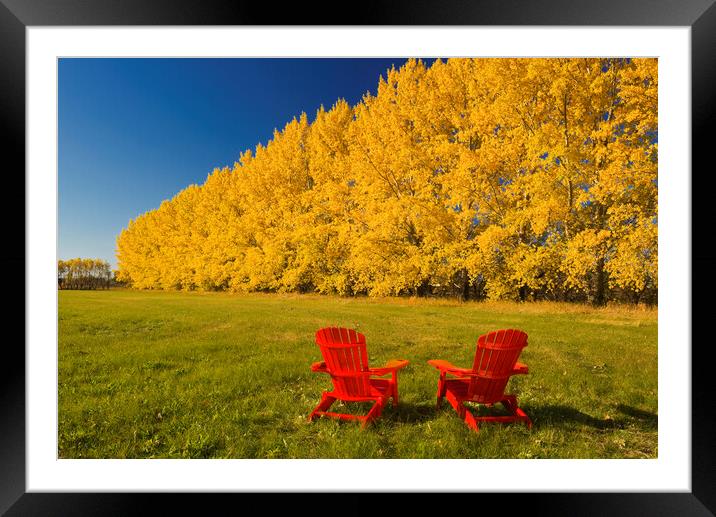 two chairs at the edge of a hay field  Framed Mounted Print by Dave Reede
