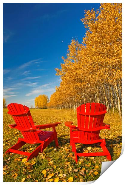 two chairs at the edge of a field with aspen in au Print by Dave Reede