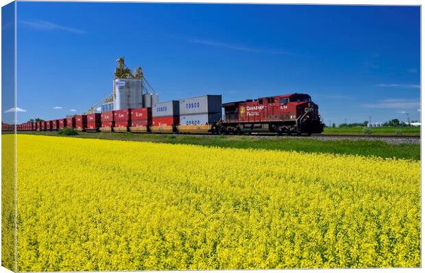 rail cars carrying containers pass a canola field and inland grain terminal Canvas Print by Dave Reede