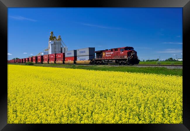 rail cars carrying containers pass a canola field and inland grain terminal Framed Print by Dave Reede