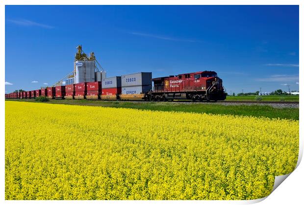 rail cars carrying containers pass a canola field and inland grain terminal Print by Dave Reede