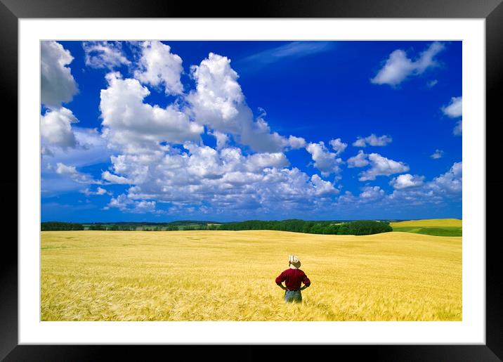 Admiring the Crop Framed Mounted Print by Dave Reede