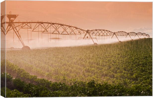 center pivot irrigation system Canvas Print by Dave Reede