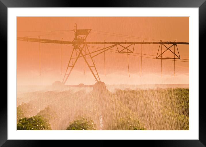 center pivot irrigation system irrigates potatoes Framed Mounted Print by Dave Reede