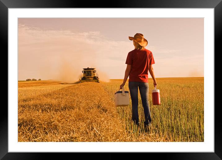farm girl brings supper to a combine operator  Framed Mounted Print by Dave Reede
