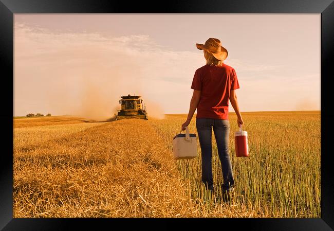 farm girl brings supper to a combine operator  Framed Print by Dave Reede