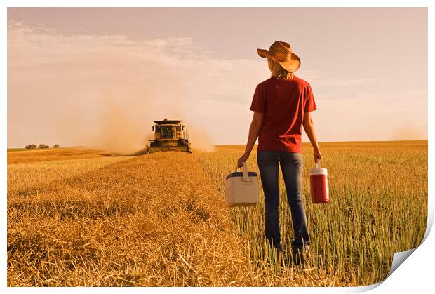 farm girl brings supper to a combine operator  Print by Dave Reede