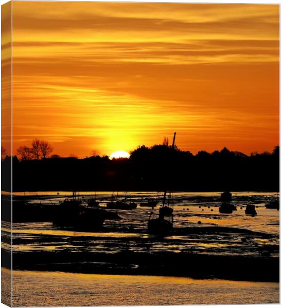 Silhouettes sunrise over the Brightlingsea Harbour  Canvas Print by Tony lopez