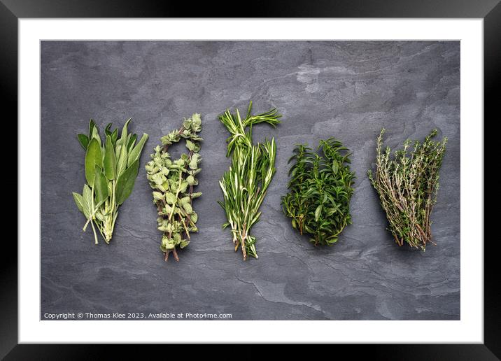 Still life, 5 different fresh herbs on slate Framed Mounted Print by Thomas Klee