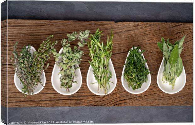 Still life, Herbs in porcelain bowls on a rustic w Canvas Print by Thomas Klee