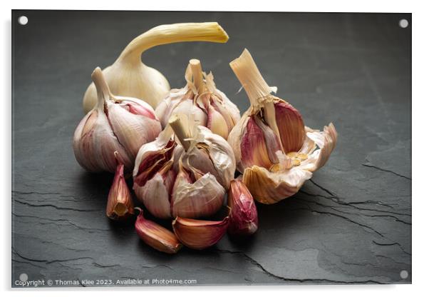 Still life, Fesh Garlic on slate Acrylic by Thomas Klee