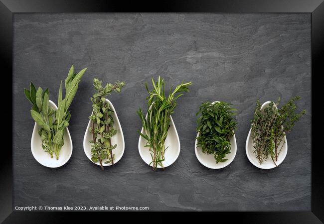 Still life, Fresh herbs in bowls on slate Framed Print by Thomas Klee