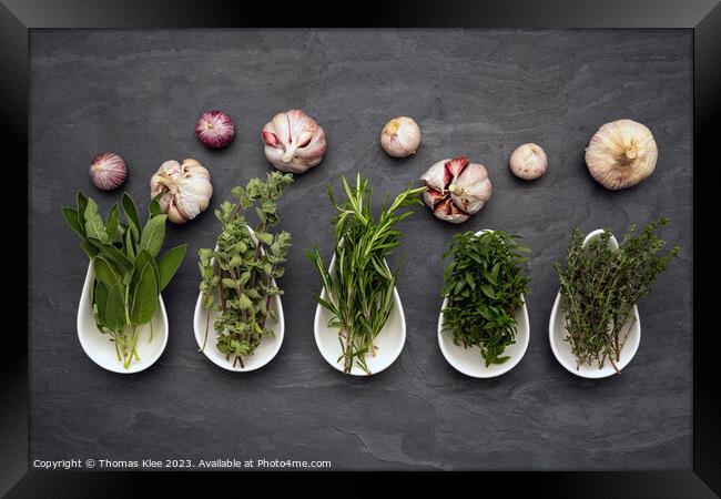 Still life, Fresh herbs in bowls an garlic on slate Framed Print by Thomas Klee